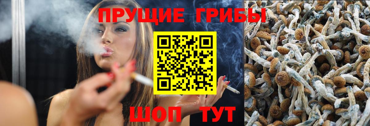 Псилоцибиновые грибы прущие грибы Валуйки
