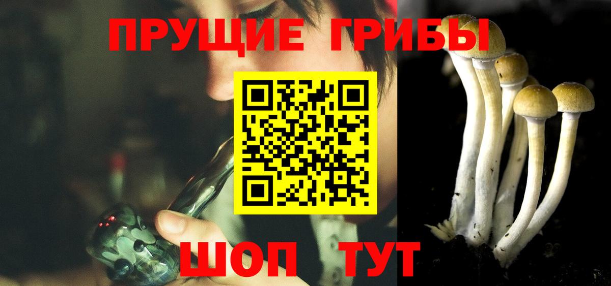 Валуйки  Псилоцибиновые грибы прущие грибы  наркота  Вход с VPN  Псилоцибиновые грибы мухоморы 